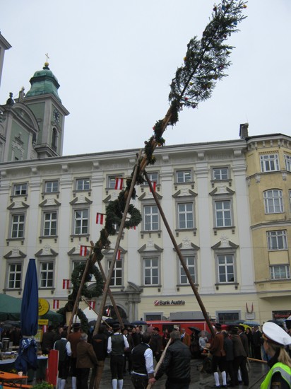 Linzer Maibaum 30.JPG